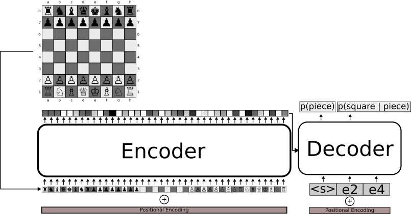 Visualization of the Chess Model. The forward pass represents computing two distributions. First, when conditioned only on the start token, we output p(piece), the probability that we select each piece. Then, conditioned on the piece we selected, we output p(square | piece), or the probability that we move the piece to a specific square on the board. We can compute the probability of any move, p(piece, square), as the product of these two distributions.